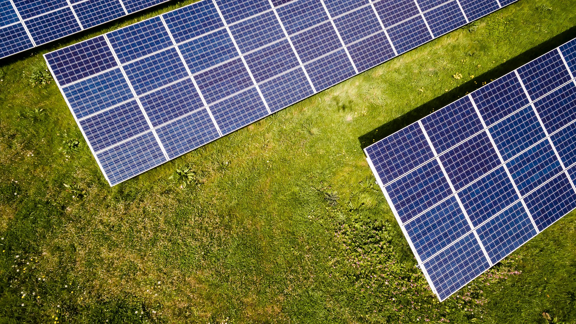 Off-grid leven onder de open hemel